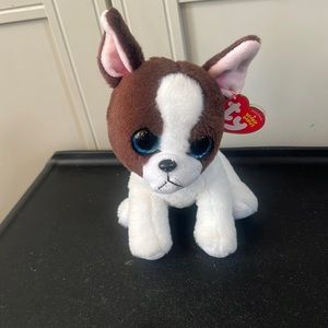 Portia
BROWN AND WHITE TERRIER